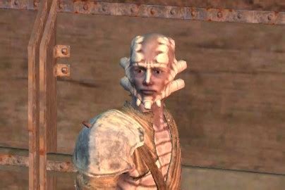 kenshi bayan